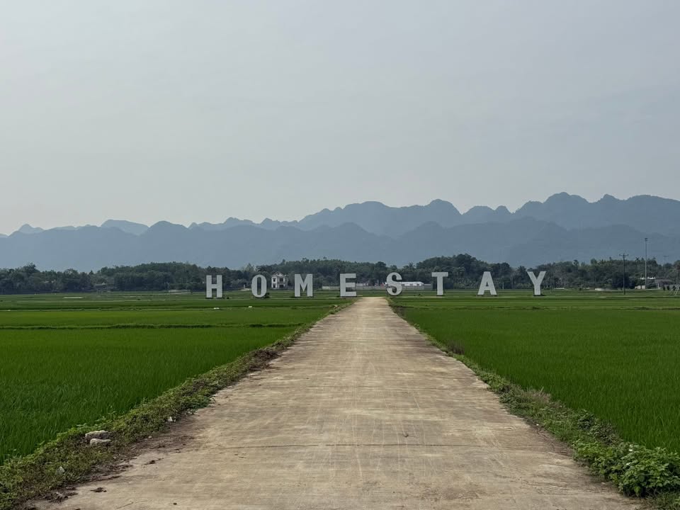 Bán Đất Yên Thủy 168m² (Thổ Cư) - Gần QL12B, Khu Du Lịch