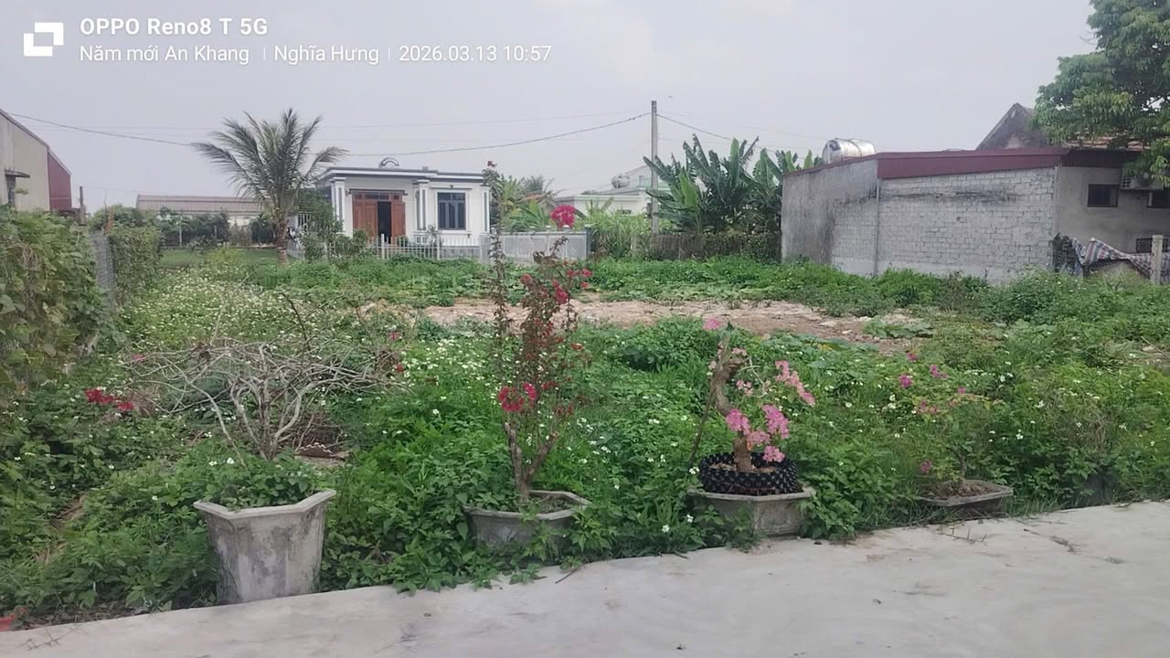 Bán đất Xóm 4 Nghĩa Phú, Nam Định - 512m² hai mặt đường, giá từ 1 tỷ