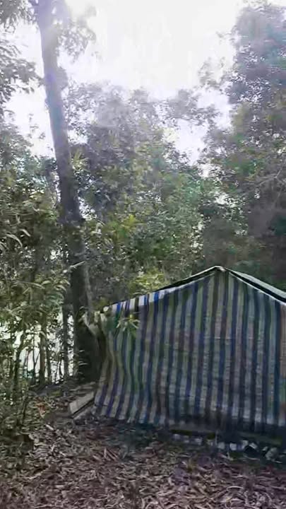 Đất nền Thạnh Hưng Giồng Riềng 9.000m² 178 triệu - Sổ đỏ chính chủ