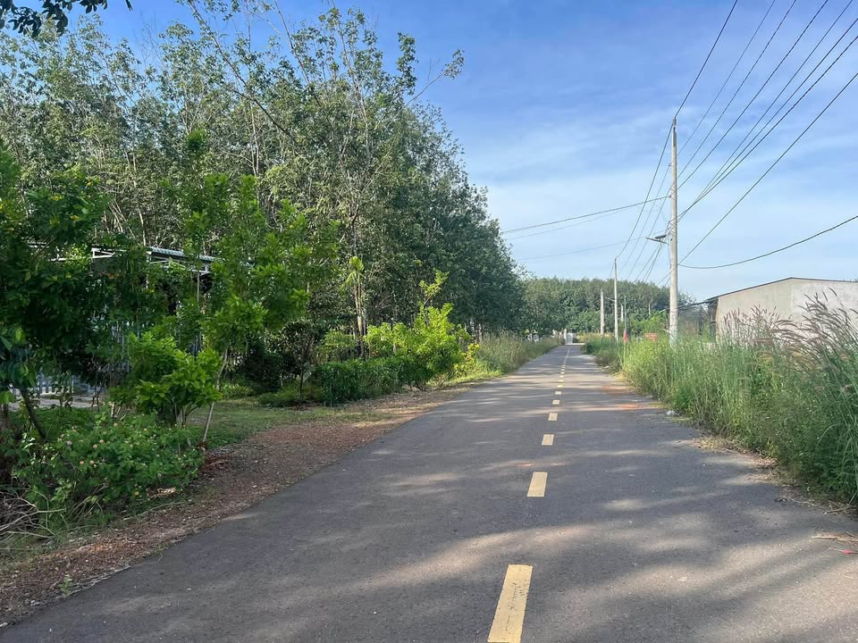 Đất nền Đồng Phú 180m² 430tr - Sổ đỏ chính chủ