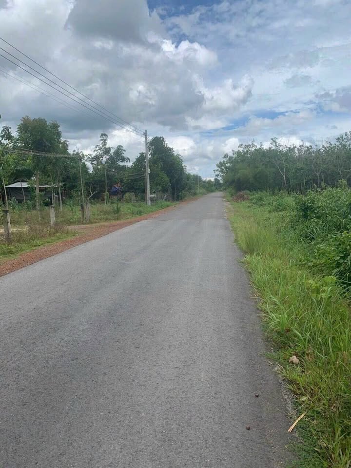 Đất Vườn Dầu Tiếng Bình Dương 1400m² - Sổ Riêng, Mặt Tiền Nhựa Giá 1.2 Tỷ