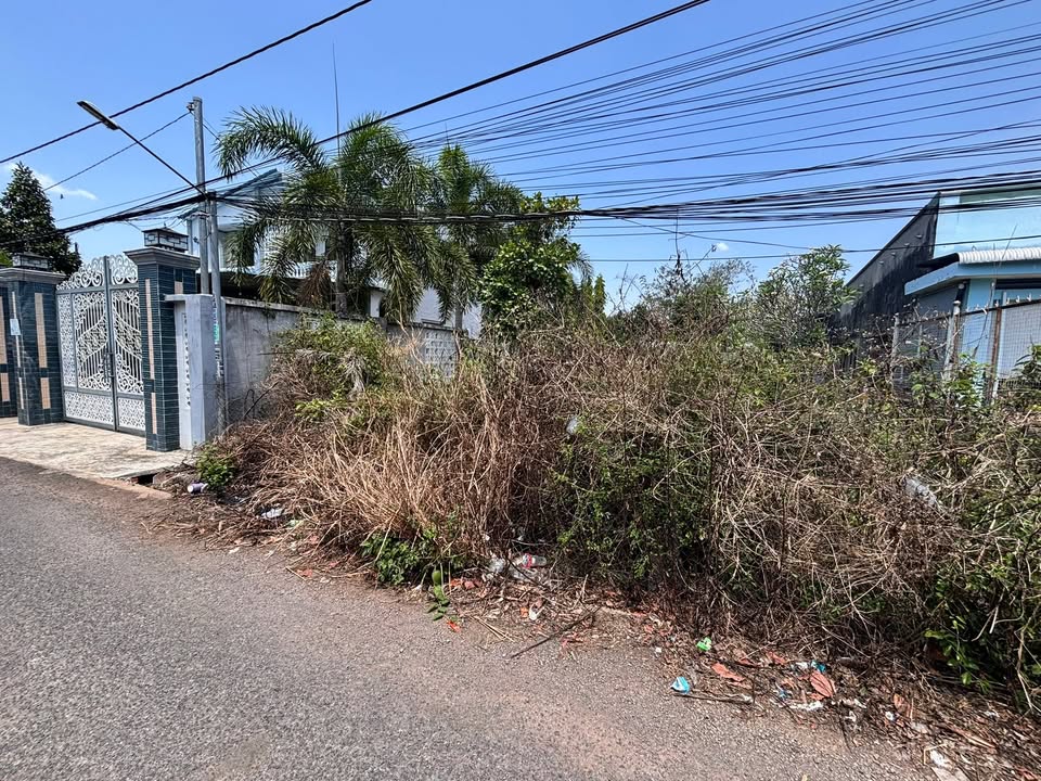 Đất Nền Mặt Tiền Hưng Long Trảng Bom - 280m² Sổ Hồng Sẵn Sàng