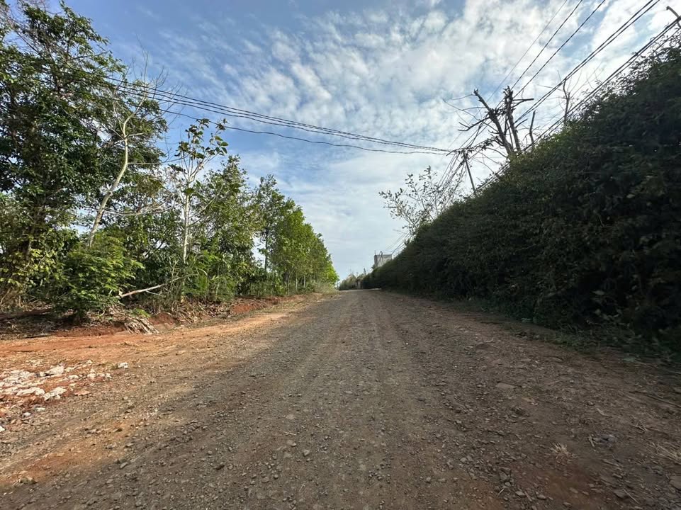 Bán Gấp Farm Sầu Riêng 1080m² View Hồ - Ea Kar, Đắk Lắk