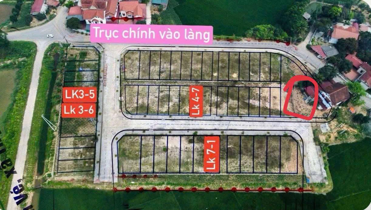 Đất đấu giá Khu Chăm Vé Tam Nông 140m² 1.5 tỷ - Sổ đỏ chính chủ