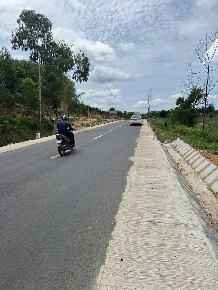 Đất Vàng Quốc Lộ 19C, Phú Yên - 3131m² Giá Cắt Lỗ 627 Triệu