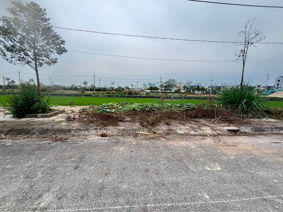 Đất nền Đông Thịnh Bỉm Sơn 125m² 1.x tỷ - Đường to ô tô