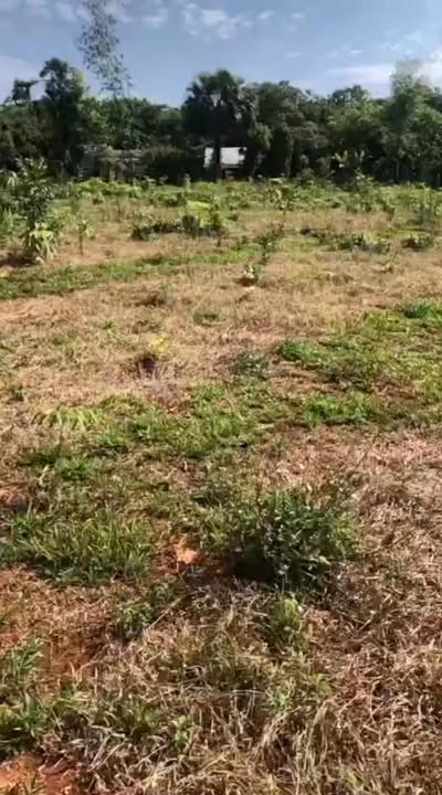 Bán Gấp 17.000m² Đất Cao Su Xã Thống Nhất, Bù Đăng - 3 Tỷ