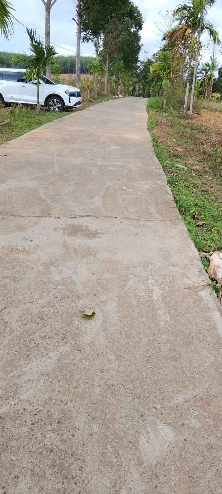 Đất nền Nguyễn Tri Phương, Krông Nô 360m² 670 triệu - Sổ đỏ chính chủ