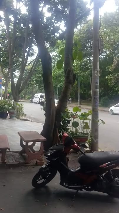 Kho cho thuê Lý Chiêu Hoàng 300m² 28 triệu - Hoạt động