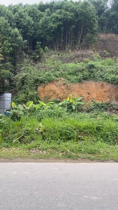 Đất Tây Lĩnh Hồng Hương Sơn 127m² - Sổ đỏ chính chủ