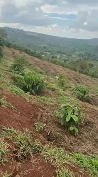 Bán Gấp Đất Vườn 1800m² Xã Dliê Yang, Đắk Lắk - Giá 650 Triệu