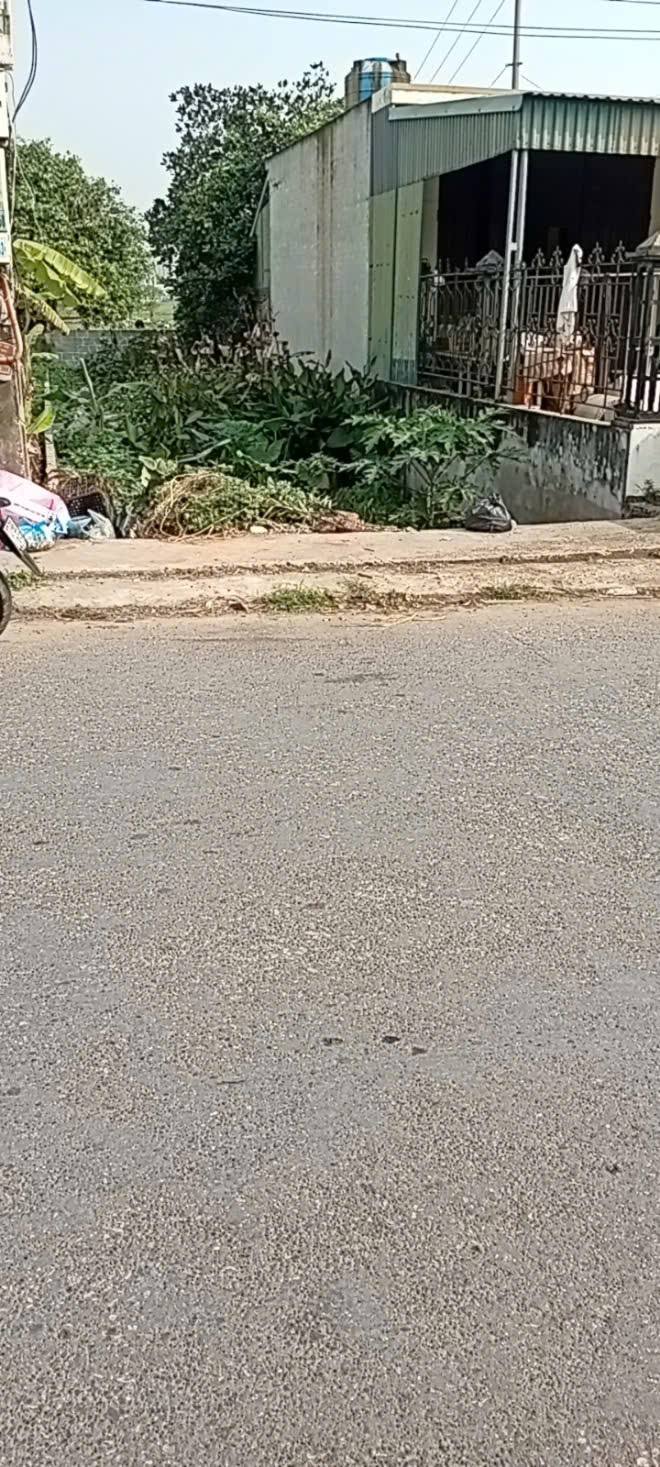 Đất Nền Việt Thắng, Tiền Hải - 67m² - Giá 1.2 Tỷ - Kinh Doanh Sinh Lời