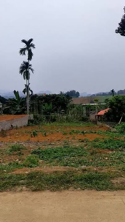 Bán Gấp Đất Nền 300m² Xã Mường Bi, TP Hòa Bình - Sổ Đỏ Thổ Cư