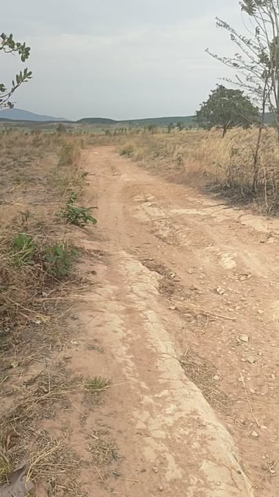 Bán Gấp 10ha Đất Vườn Gia Lai - Sẵn Sàng Khai Thác