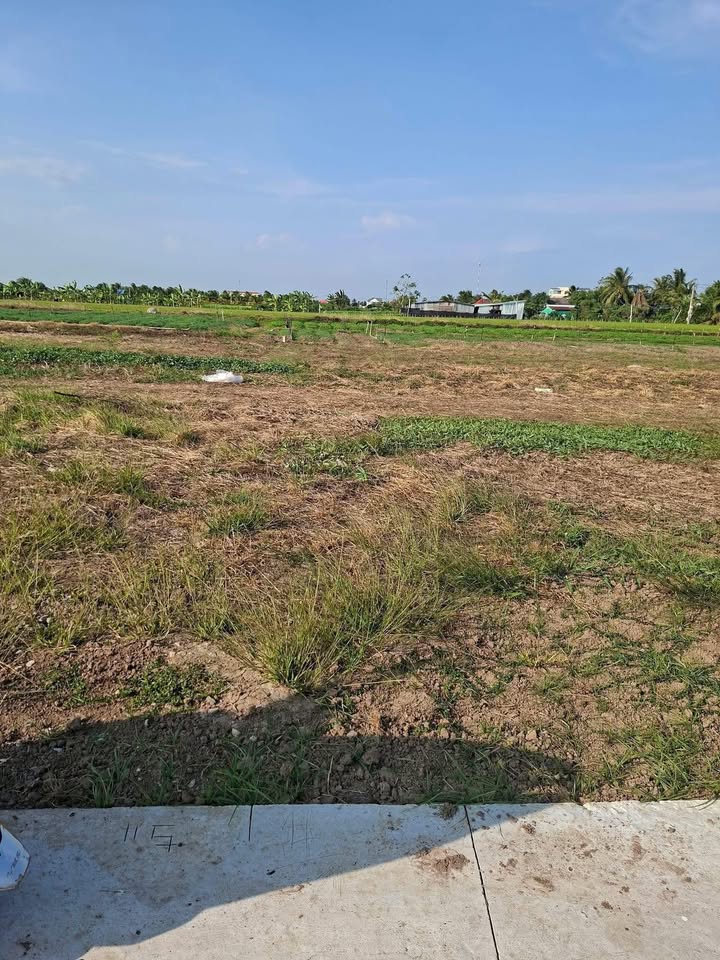 Đất nền F0 Tân Điền, Gò Công Đông - 162m² Giá chỉ 2xx Triệu