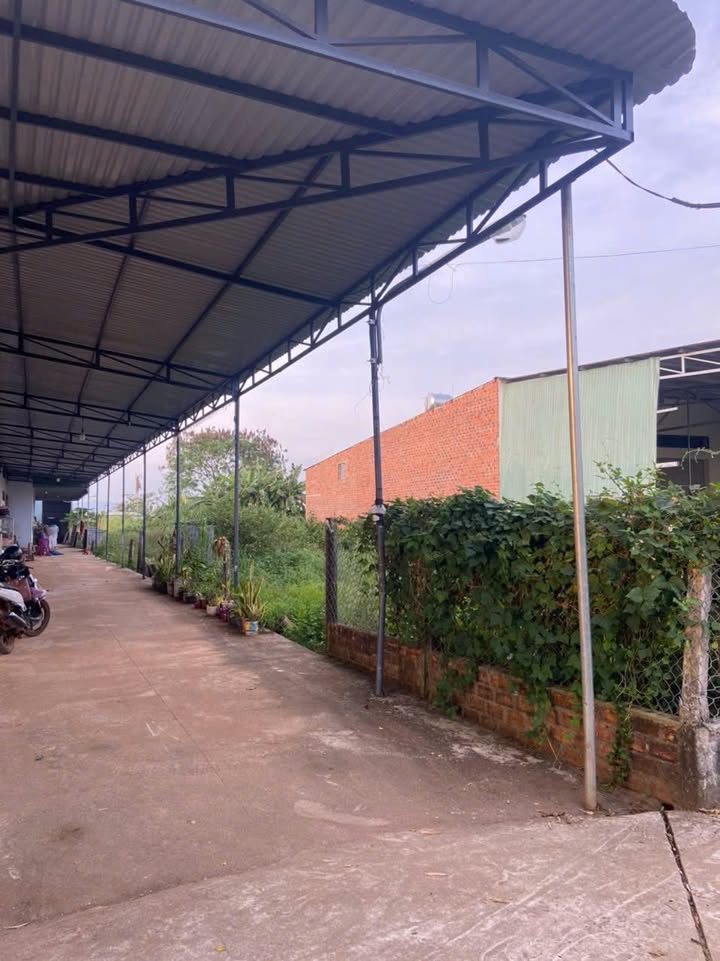 Bán Gấp Nhà 600m² Hẻm Chợ An Phú, Pleiku - Tặng Kèm 1.5 Sào Đất