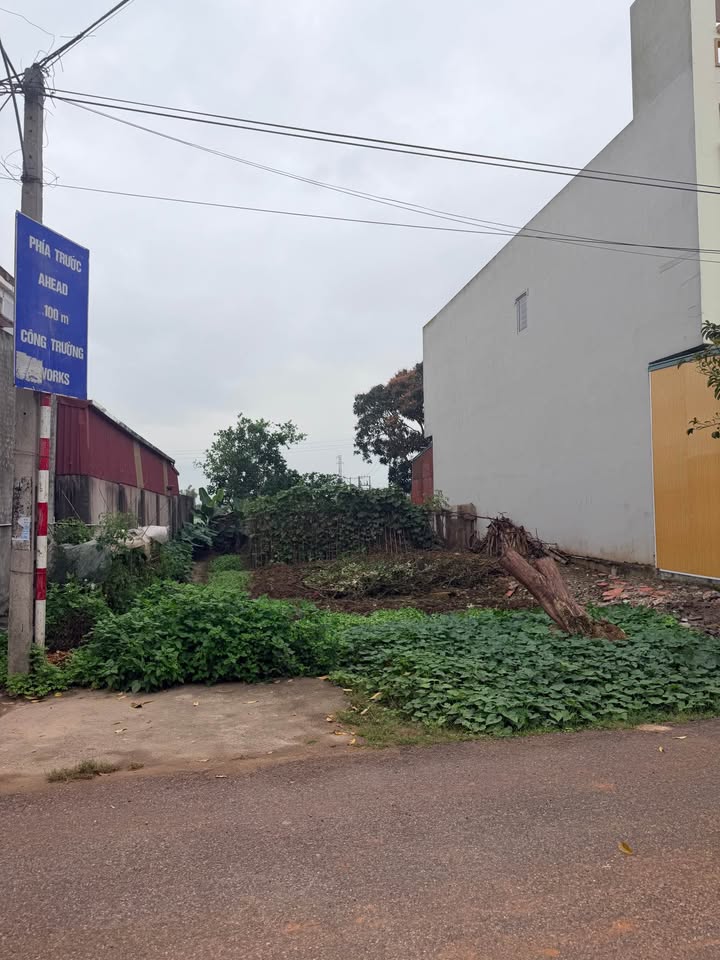 Đất Tứ Kỳ Hải Dương 207m² - Trục Chính Xã, Gần Trường Học, Giá Hời 2.3 Tỷ