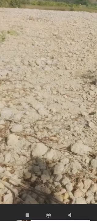 Đất nền 1440m² Xuyên Mộc, Bà Rịa - Vũng Tàu - Sổ đỏ chính chủ, giá 450 triệu