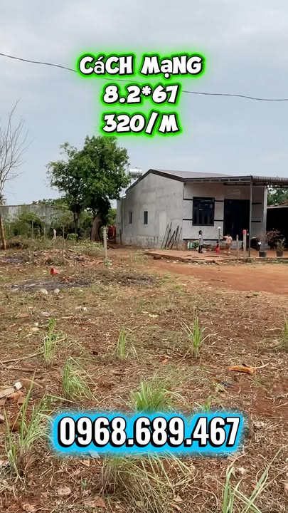 Đất Mặt Tiền Cách Mạng Chư Sê 555m² - Vị Trí Kinh Doanh Đắc Địa