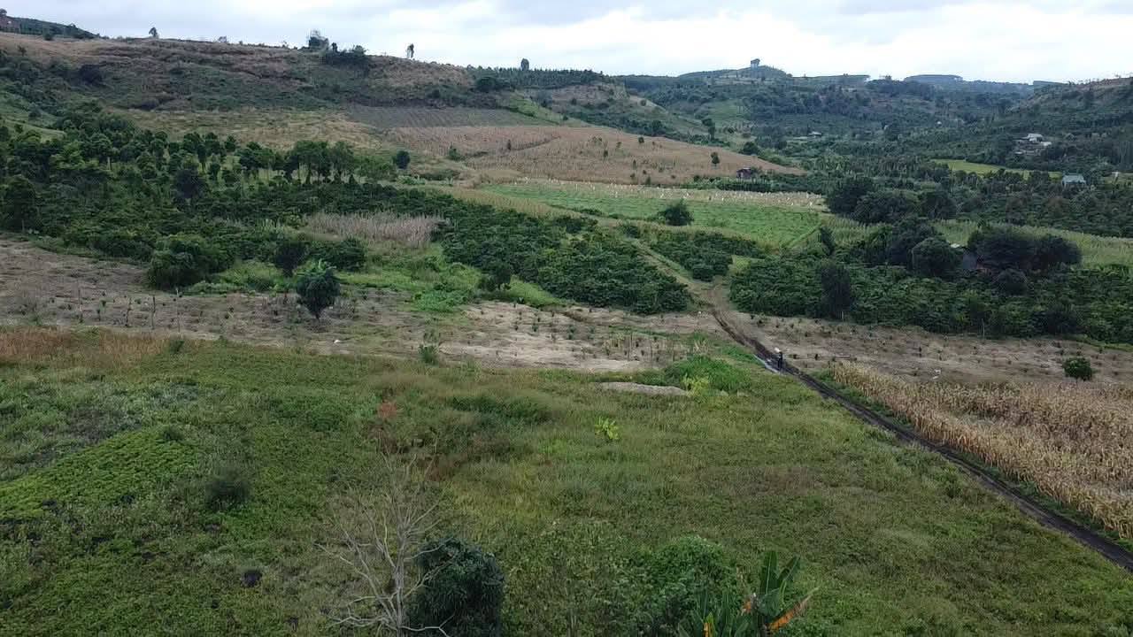 Bán Gấp Farm 8500m² Đắk Mil, Đắk Nông - Sổ Hồng Sẵn Sàng