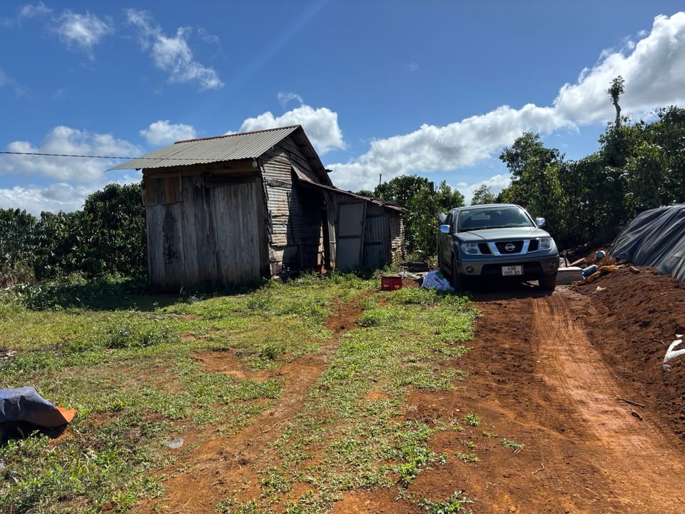 Đất Vườn 1.2ha Lạc Lâm, Đơn Dương - Sổ Trích Lục, Giá Tốt 1.8 Tỷ