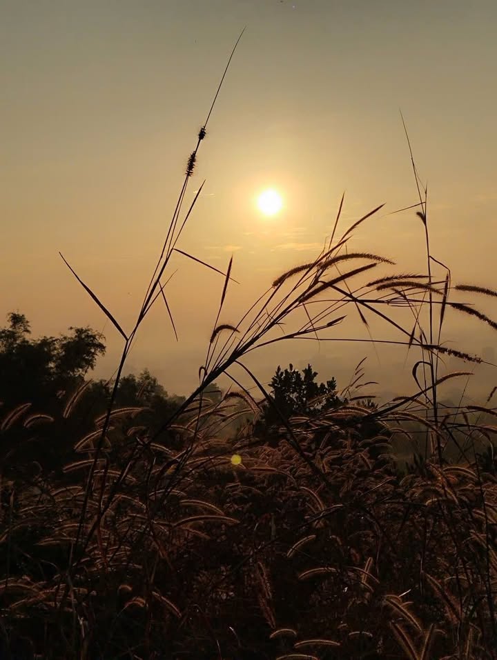 Cho thuê nhà mặt ngõ ô tô Nguyễn Bỉnh Khiêm, 40m² - Sẵn sàng ở ngay