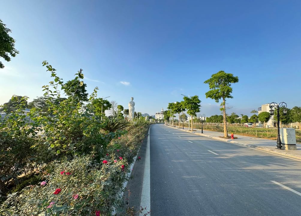 Đất Nền Mặt Tiền 105.5m² Danko City - Giá Tốt Đầu Tư