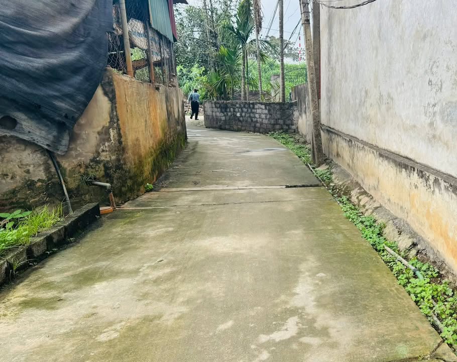 Đất nền Hùng An, Hưng Yên 110m² - Tiềm năng sinh lời vượt trội