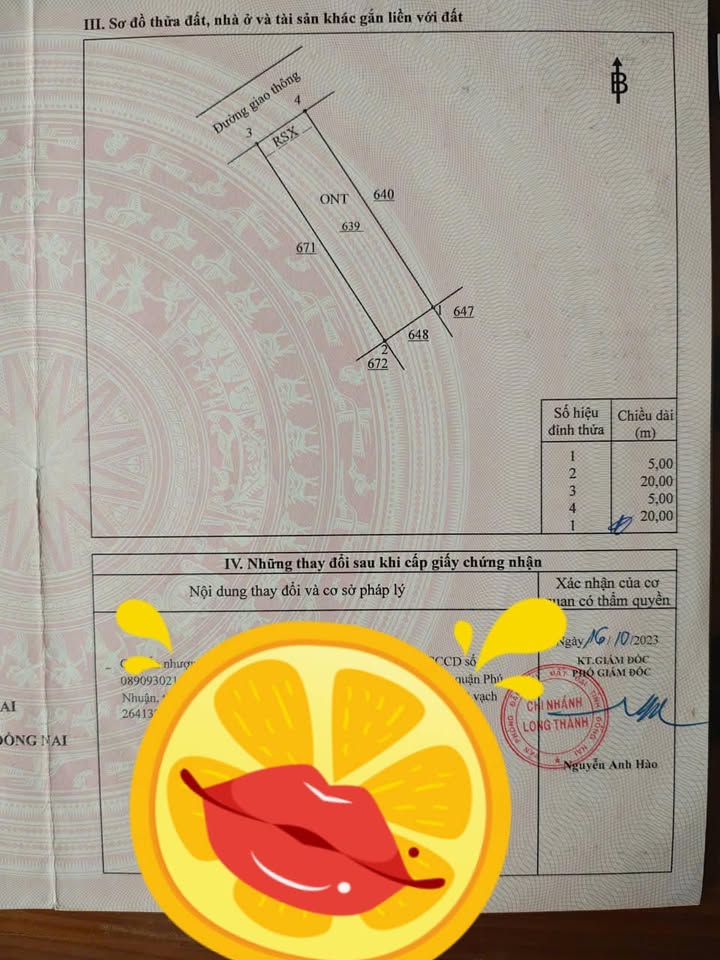 Đất thổ cư 100m² KDC Long Phát, Long Thành - Sổ hồng sẵn, giá 5 tỷ