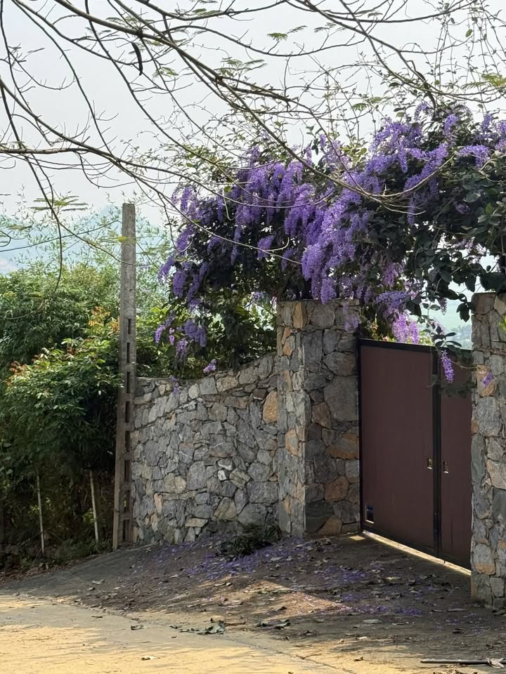 Đất nền Thạch Thất 1500m² - View Hòa Lạc, Sổ hồng sẵn, Giá đầu tư