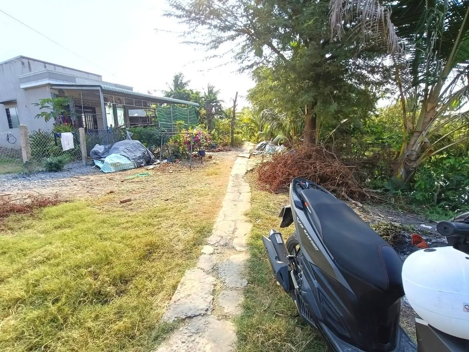 Đất Vườn 1040m² Hướng Bắc, 1.1 Tỷ - Gò Công Tây, Tiền Giang