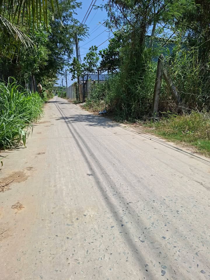 Bán Gấp Đất Vàng Gò Công Đông - 203m² Thổ Cư, Giá 450 Triệu