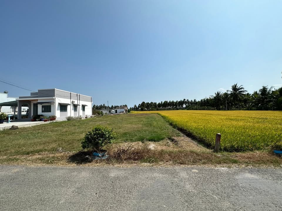 Đất nền 250m² Gò Công Tây, Tiền Giang - Cắt lỗ sâu chỉ 420 triệu