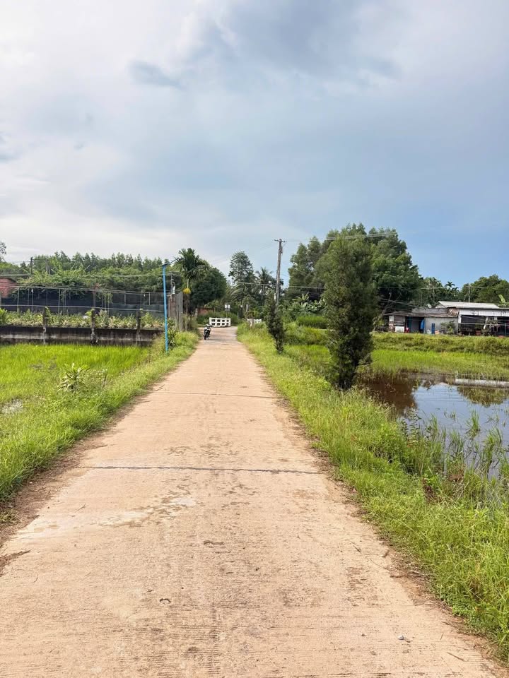 Bán đất 800m² đất lúa Nghĩa Điền, Quảng Ngãi - Giá tốt, đường to