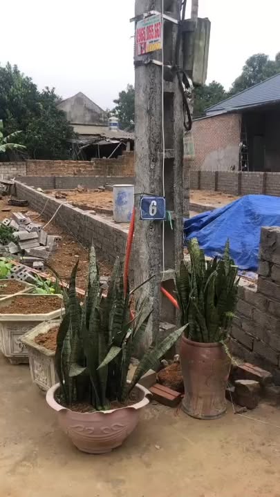 Đất Nền Cát Hải 100m² Dưới 2 Tỷ - Ô Tô Đỗ Cửa, Thanh Khoản Tốt