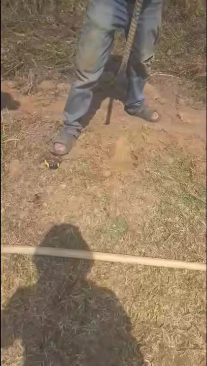 Bán Gấp Đất Vườn 14.000m² Tặng Nhà Cấp 4 - Đối Diện KDL Rạng Đông, Bình Thuận