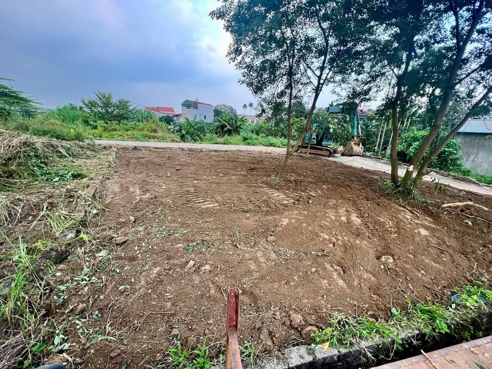 Đất Lô Góc 3 Mặt Tiền 158.5m² Phú Mãn, Quốc Oai - Sẵn Sàng Đầu Tư