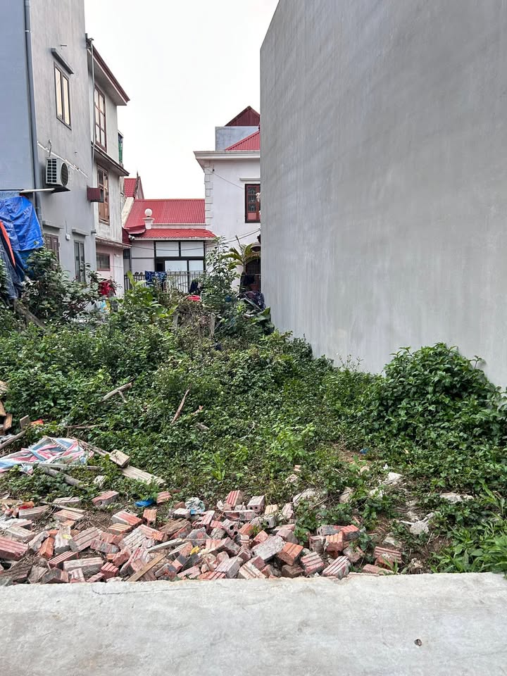 Bán đất nền 55m² Hàng Tổng, Hải An - Sổ đỏ chính chủ, giá tốt