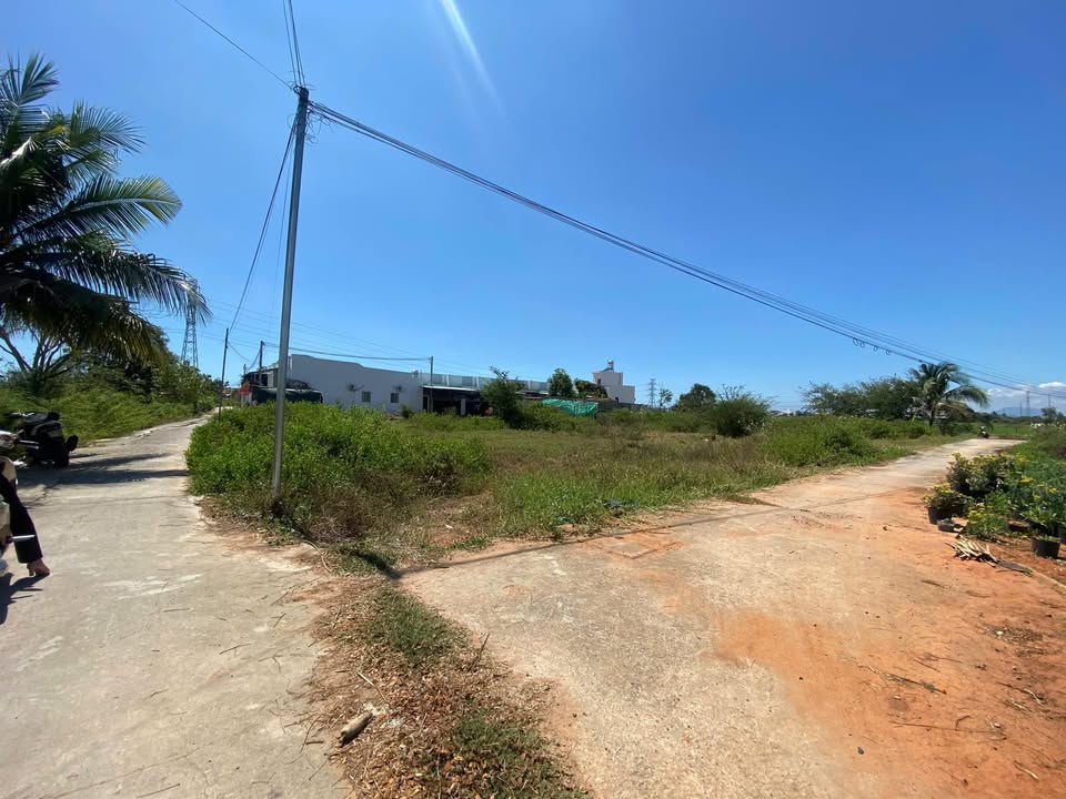 Đất Vườn 1000m² Thắng Hải, Hàm Tân - Giá Tốt Đầu Tư