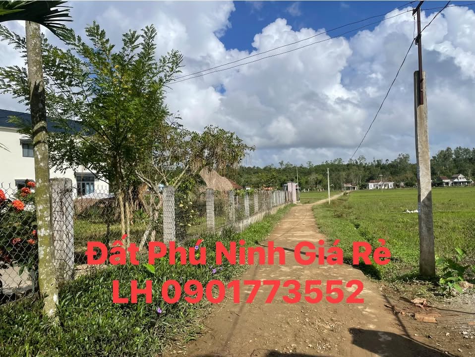 Đất Nền Phú Ninh 161m² Giá Tốt - Sổ Đỏ Rõ Ràng