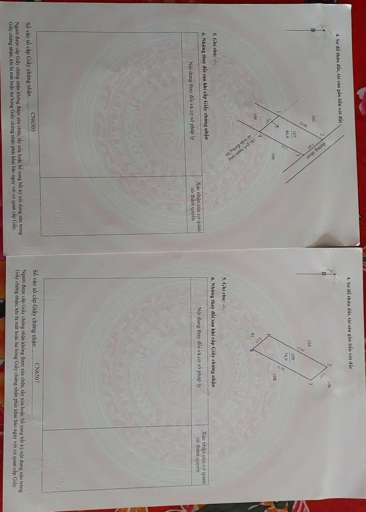 Đất nền 125m² đường nhựa Bình Thành, Lấp Vò - Giá 2.6 tỷ, Sẵn Sổ Hồng