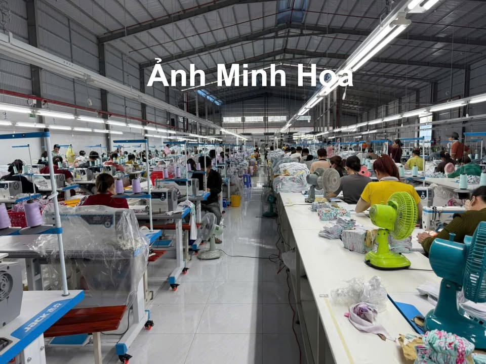 Cho thuê kho xưởng 4500m² Mỹ Tho, Tiền Giang - Sẵn sàng sản xuất