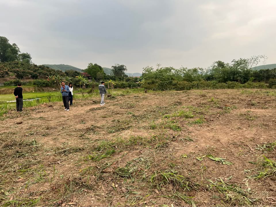 Đất Vô Tranh Bắc Giang 1686m² - Hơn 1 Tỷ, Mặt Tiền Đường 40m