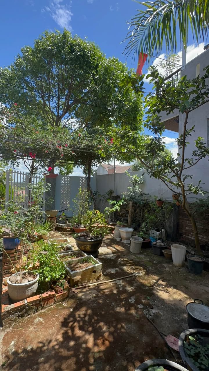 Nhà TĐC Sùng Đức, Đắk Nông - 280m² Full Thổ Cư, Sẵn Sàng Kinh Doanh