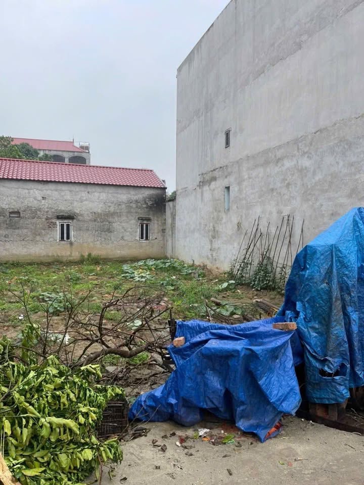 Đất nền Hiệp Hòa, Bắc Giang 100m² full thổ cư - Sẵn sàng đầu tư