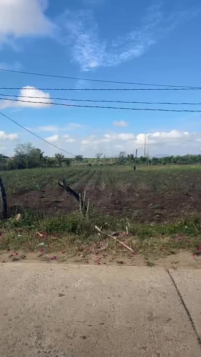 Đất nền Kông Yang, Gia Lai 5600m² - Tiềm năng tăng giá vượt trội!