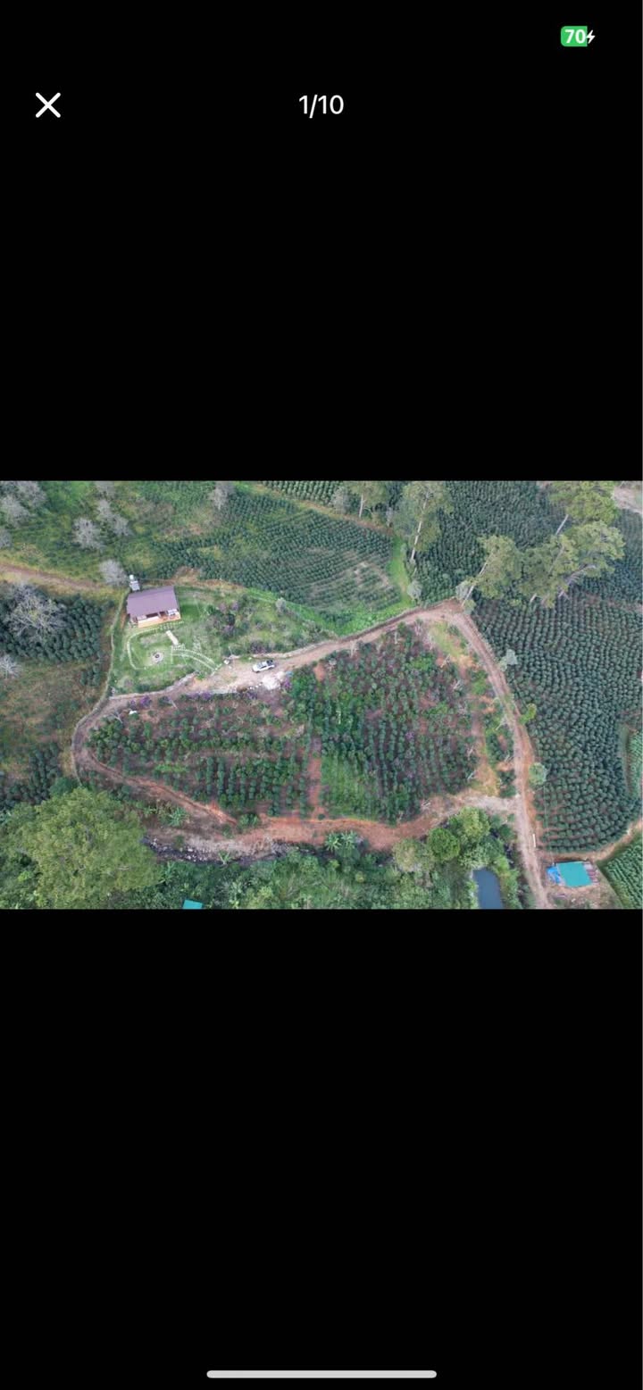 Bán Gấp Nhà Vườn Nghỉ Dưỡng Đạ Sar, Lạc Dương - 5250m² Chỉ 4 Tỷ