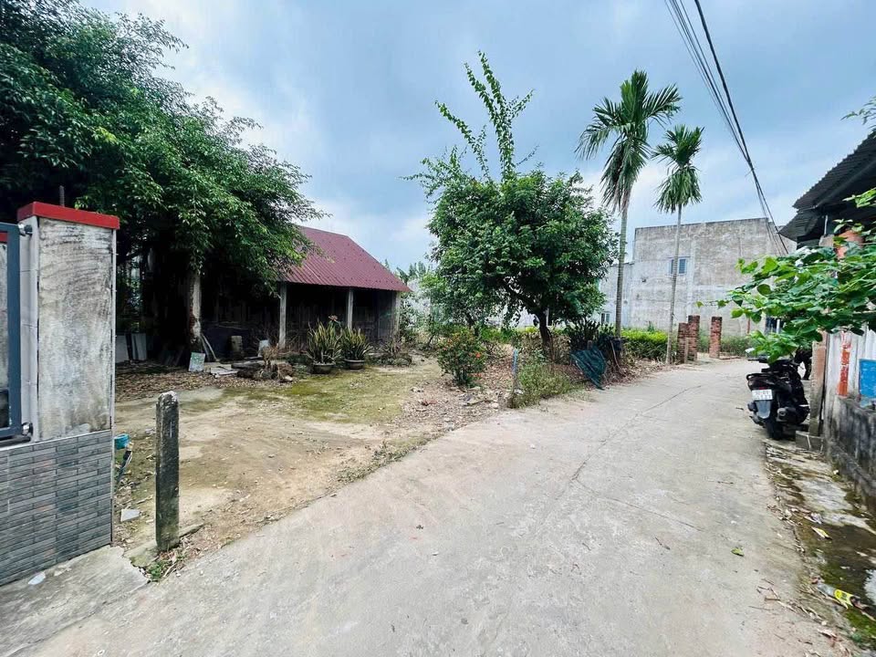 Đất Nền Đại Lộc 121m² Sổ Hồng Sẵn - Giá 890 Triệu, Cơ Hội Đầu Tư