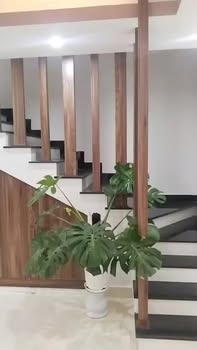 Nhà 2 Tầng Đường Mẹ Nhu, Cẩm Lệ - 50m² Ngang Rộng, Sổ Hồng