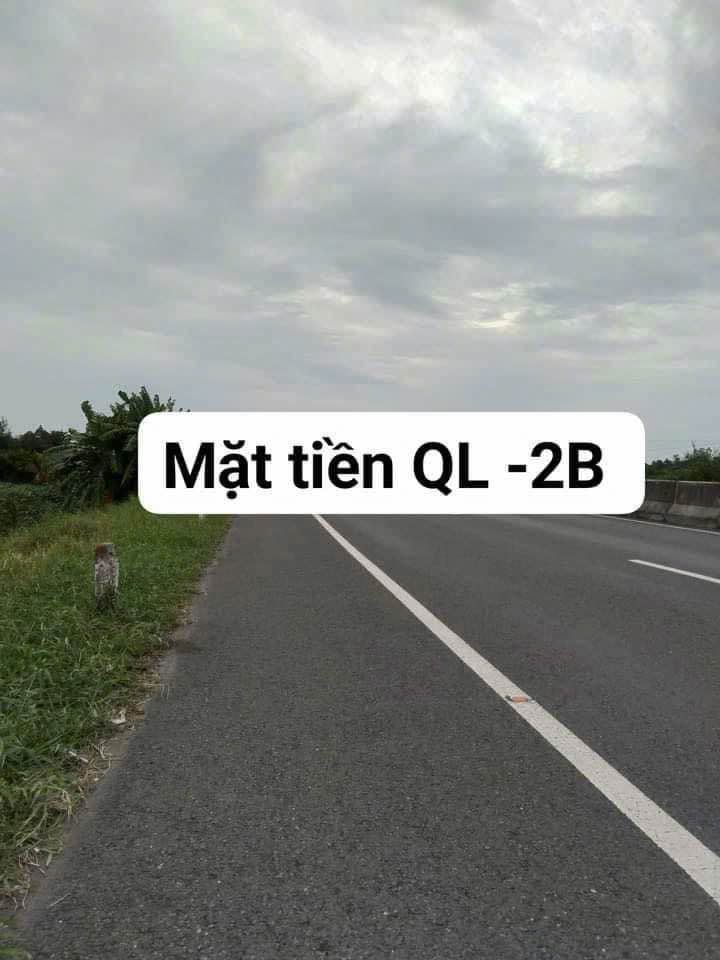 Đất Vườn 8000m² Mặt Tiền QL N2B, Đồng Tháp - Sẵn Sàng Đầu Tư Sinh Lời